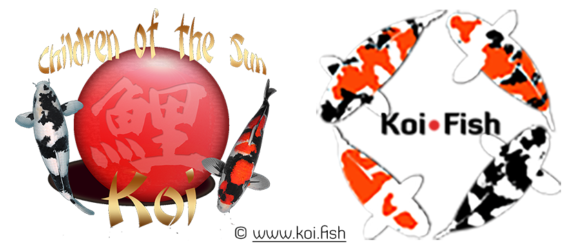 Partnership with Children of the Sun Koi